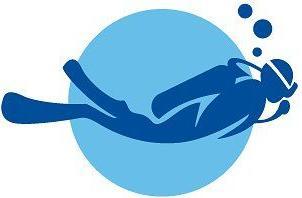 GILL || Mystic || Palm Sales Store